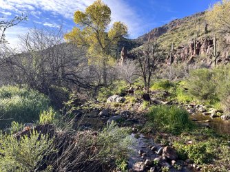 IMG_7313.jpg IMG_7313.jpg