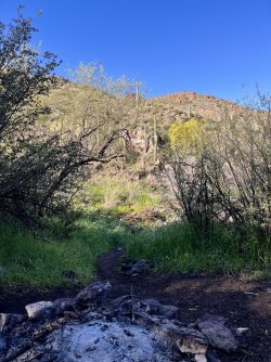 IMG_7314.jpg IMG_7314.jpg