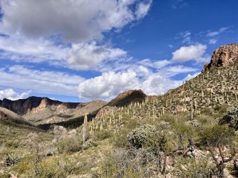 IMG_7327.jpg IMG_7327.jpg