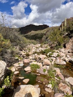 IMG_7330.jpg IMG_7330.jpg