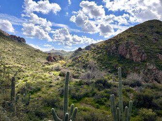 IMG_7335.jpg IMG_7335.jpg