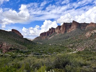 IMG_7337.jpg IMG_7337.jpg