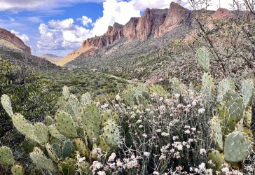 IMG_7340.jpg IMG_7340.jpg