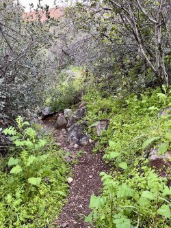 IMG_7343.jpg IMG_7343.jpg