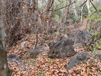 IMG_7344.jpg IMG_7344.jpg