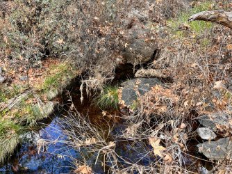 IMG_7347.jpg IMG_7347.jpg