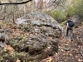 IMG_7349.jpg IMG_7349.jpg