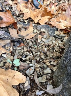 IMG_7355.jpg IMG_7355.jpg