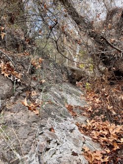 IMG_7369.jpg IMG_7369.jpg