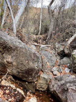 IMG_7372.jpg IMG_7372.jpg