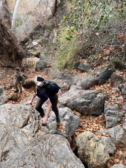 IMG_7374.jpg IMG_7374.jpg