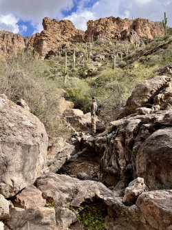 IMG_7380.jpg IMG_7380.jpg