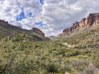 IMG_7384.jpg IMG_7384.jpg