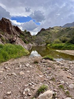 IMG_7388.jpg IMG_7388.jpg