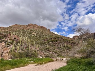 IMG_7390.jpg IMG_7390.jpg