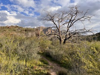 IMG_7396.jpg IMG_7396.jpg