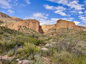 IMG_7401.jpg IMG_7401.jpg