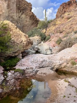 IMG_7408.jpg IMG_7408.jpg