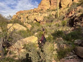 IMG_7412.JPG IMG_7412.JPG