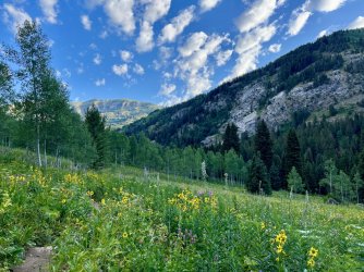 IMG_E8441.JPG IMG_E8441.JPG