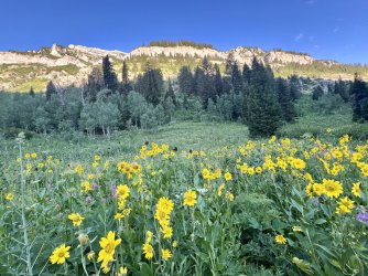 IMG_E8460.JPG IMG_E8460.JPG