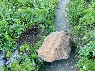 IMG_E8452.JPG IMG_E8452.JPG