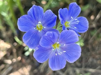 IMG_E8488.JPG IMG_E8488.JPG