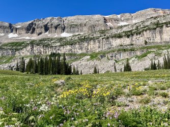 IMG_E8481.JPG IMG_E8481.JPG