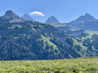 IMG_E8494.JPG IMG_E8494.JPG