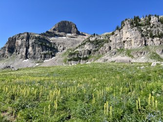 IMG_E8507.JPG IMG_E8507.JPG