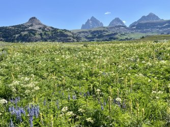 IMG_E8529.JPG IMG_E8529.JPG