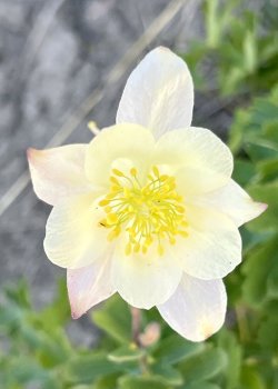 IMG_E8562.JPG IMG_E8562.JPG