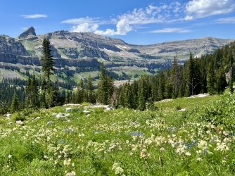 IMG_E8606.JPG IMG_E8606.JPG