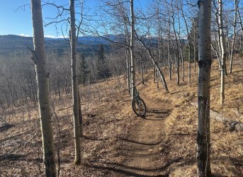 Ten Years Gone Feb-10.jpg