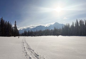 F34B5B52-5F76-4DD7-892F-56F8FB3B682A.heic copy.jpg