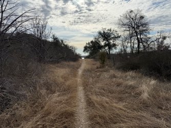 IMG_4257.jpeg IMG_4257.jpeg