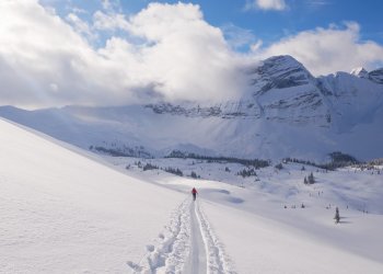 _1340637-copy-2.jpg _1340637-copy-2.jpg