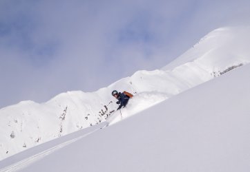 _1340657-copy-2.jpg _1340657-copy-2.jpg