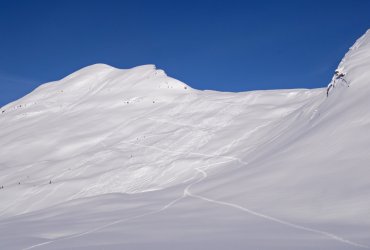 _1340690-copy-2.jpg _1340690-copy-2.jpg