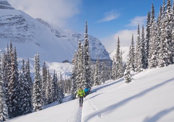 _1340664-copy-2.jpg _1340664-copy-2.jpg