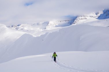 _1340673-copy-2.jpg _1340673-copy-2.jpg