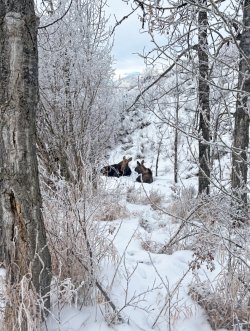 91D48980-6D42-4933-AF45-09EFC1764E22.heic copy.jpg