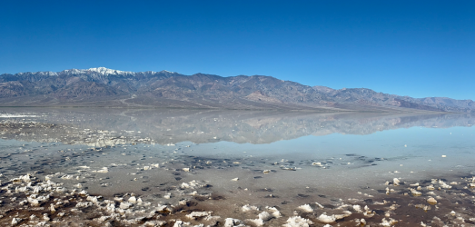 Screenshot 2026-03-13 at 11.12.09 PM.png