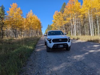 PXL_20250927_160904194.jpg PXL_20250927_160904194.jpg