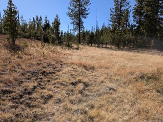 PXL_20250927_215608840.jpg PXL_20250927_215608840.jpg