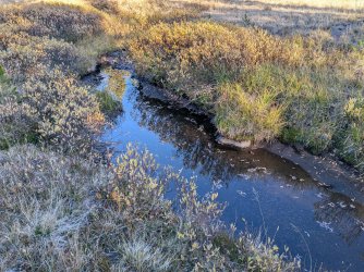 PXL_20250927_232351035.MP.jpg PXL_20250927_232351035.MP.jpg