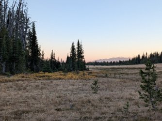 PXL_20250928_005955581.jpg PXL_20250928_005955581.jpg