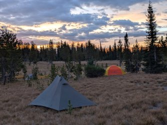 PXL_20250928_131820810~2.jpg PXL_20250928_131820810~2.jpg