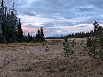 PXL_20250928_132233260.jpg PXL_20250928_132233260.jpg