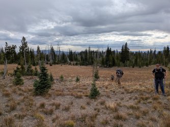 PXL_20250928_161047828.jpg PXL_20250928_161047828.jpg